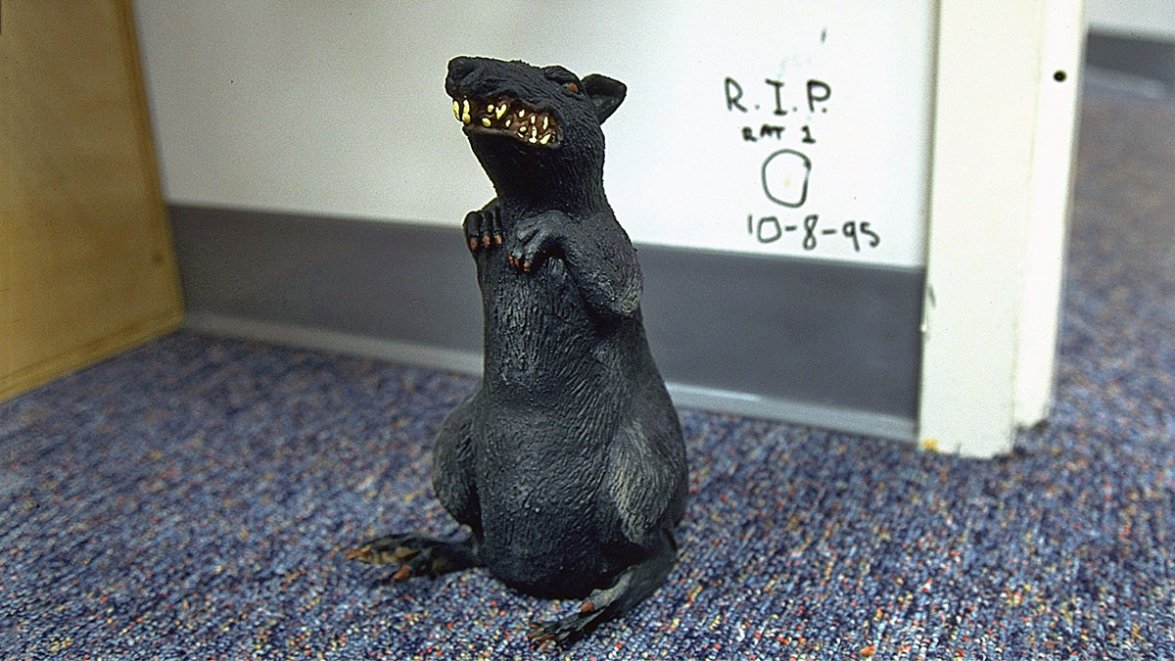 Thirty Rats Marchand embraces Panthers’ rat-throwing tradition, which goes back 30 ...