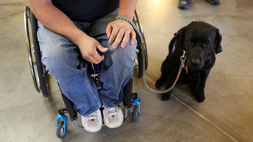 U.S. Army veteran sitting with his service dog.