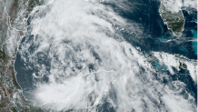Tropical Storm Alberto while still in embryonic stage covering much of the western Gulf of Mexico on Tuesday.