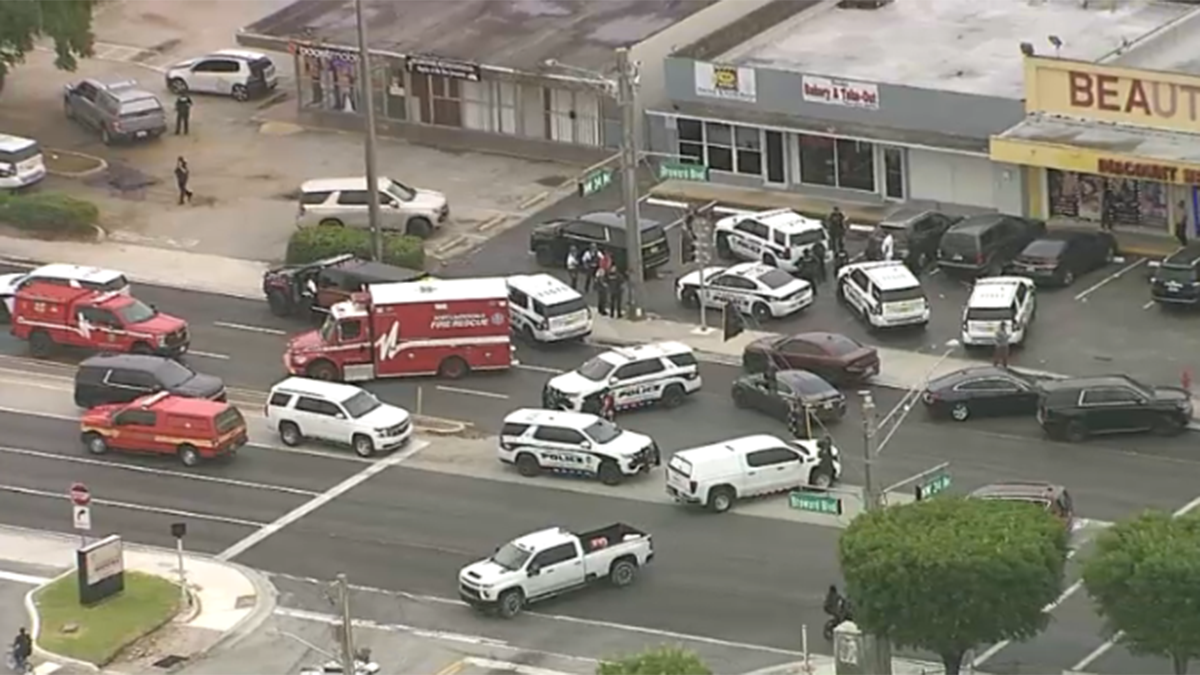 Authorities, SWAT swarm Fort Lauderdale shopping plaza after shooting ...