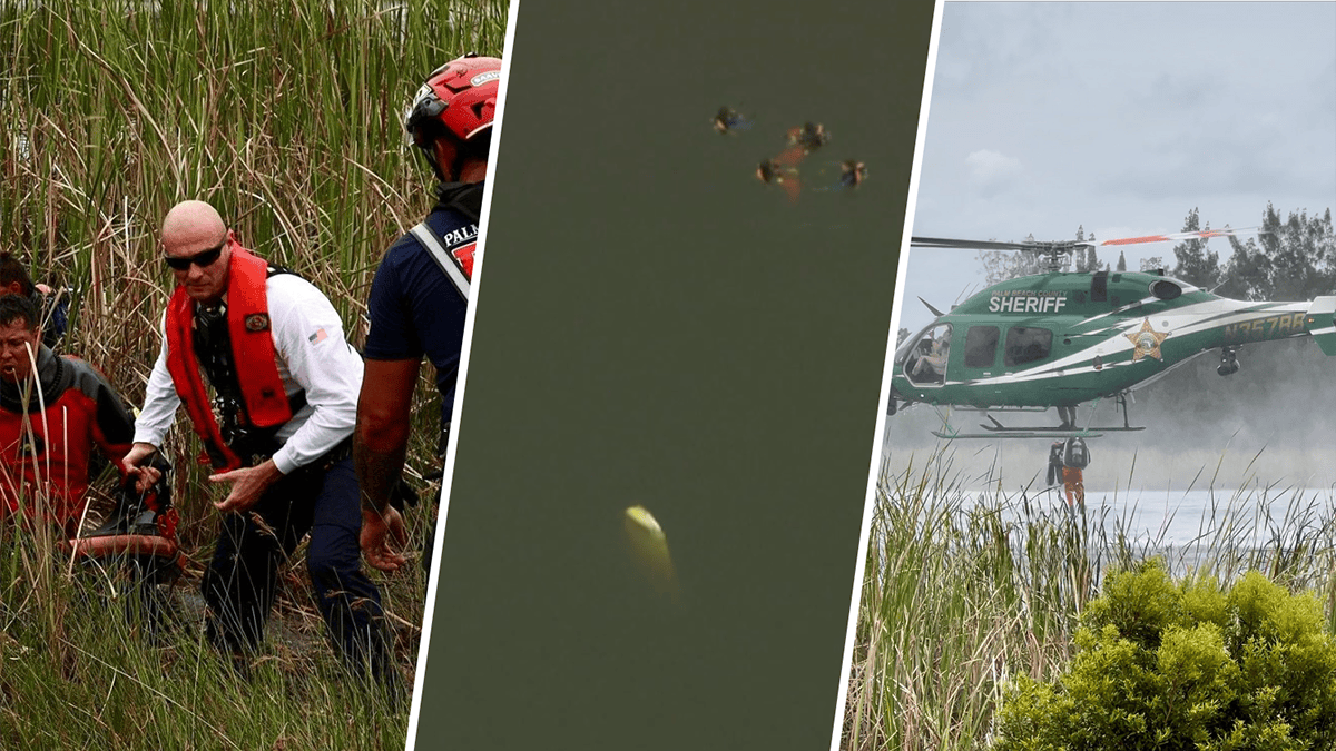 2 men killed after small plane crashes into water at airport in Palm ...