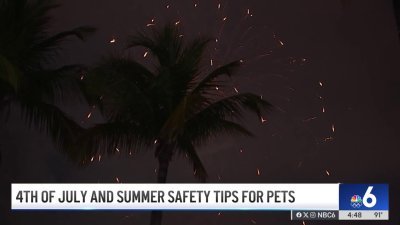 Safety tips to keep your dog calm during 4th of July fireworks