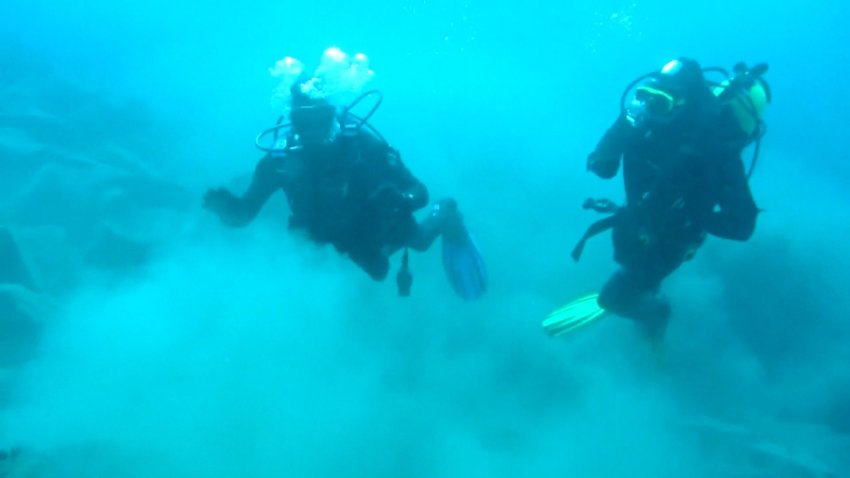 Two scuba divers underwater.