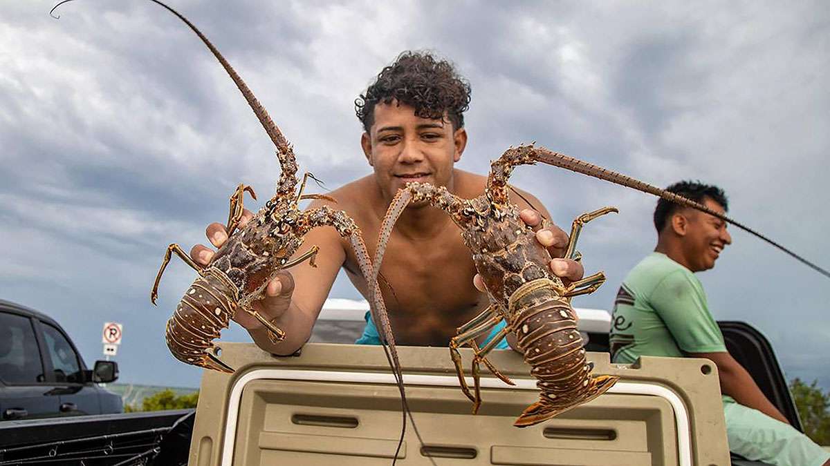 Florida lobster season 2024 NBC - GettyImages 1557401778 