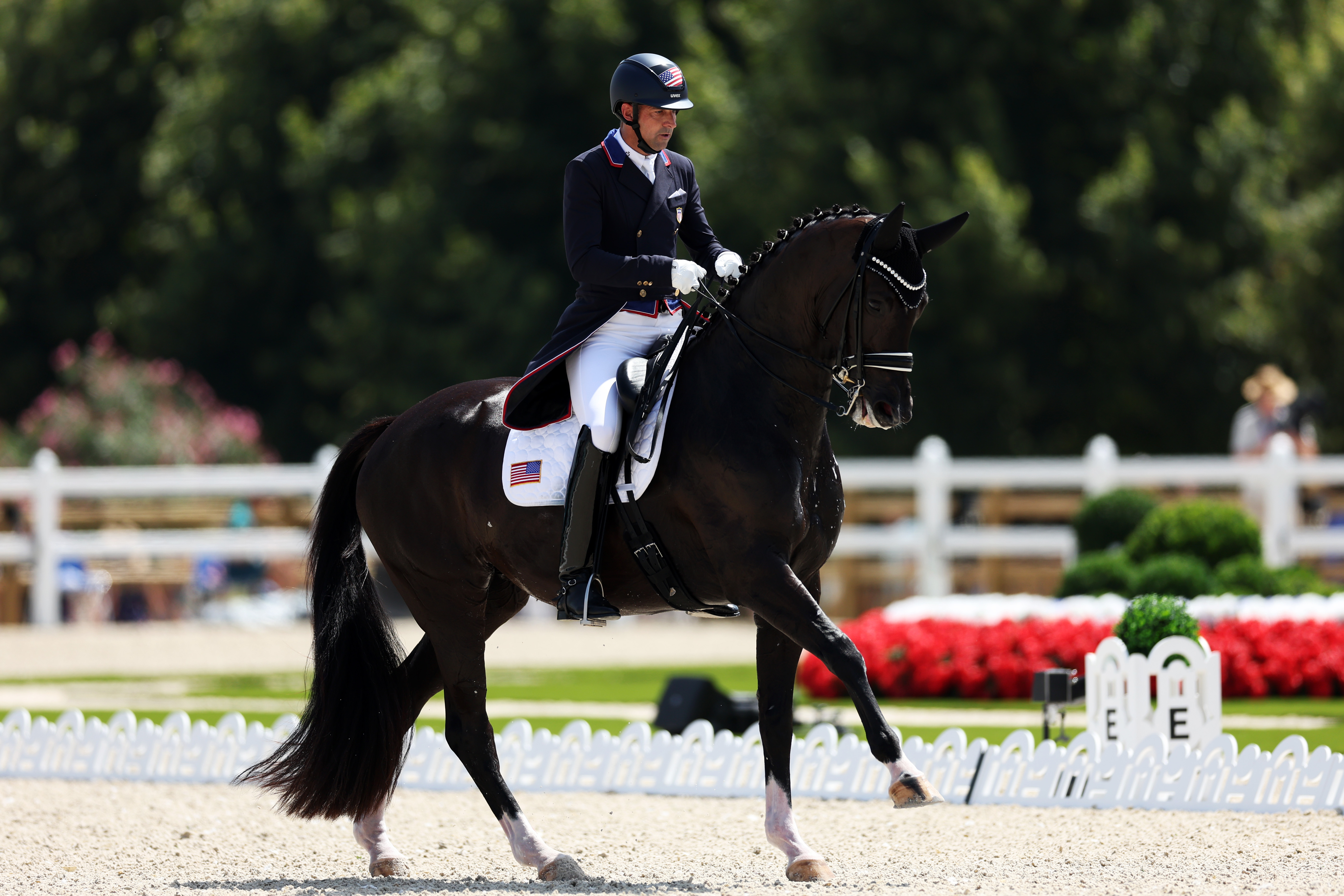 2024 Olympics Blood on horse leg drops Team USA from dressage NBC 6