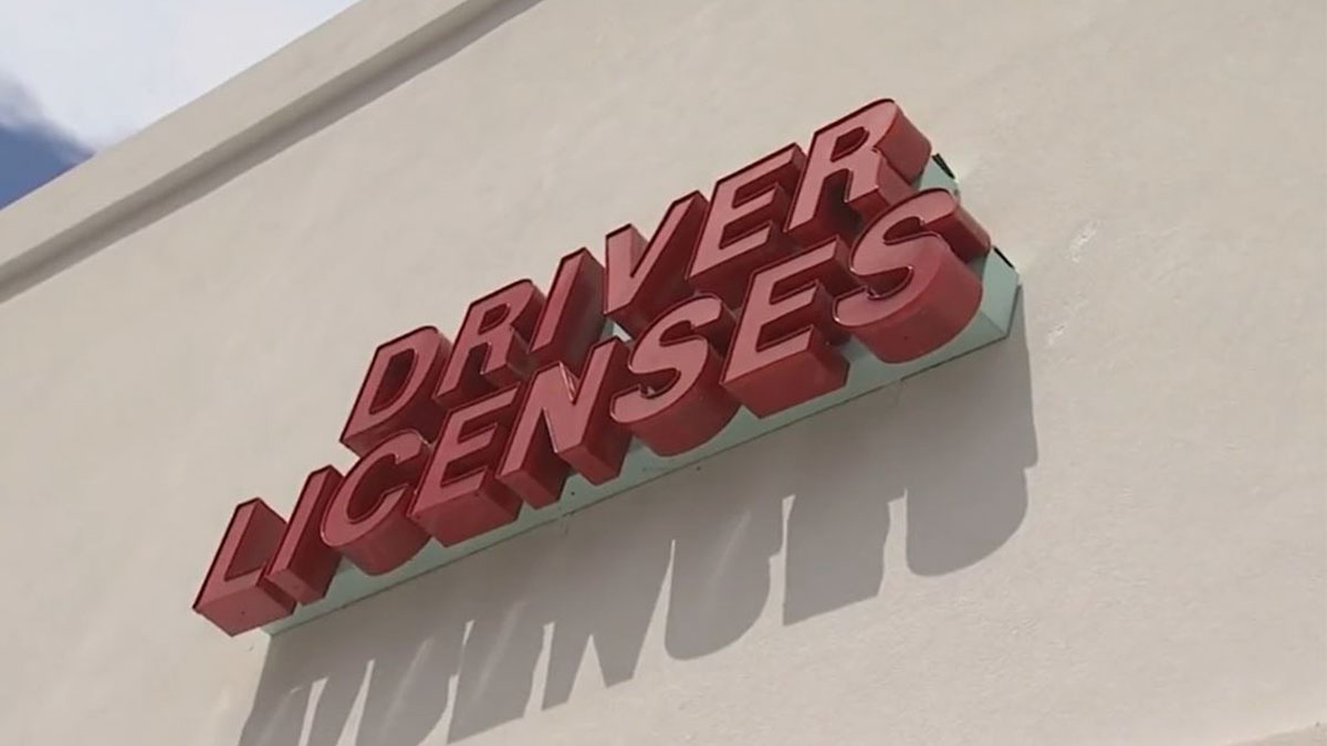 Florida driver’s licenses undergo changes to prevent identity theft