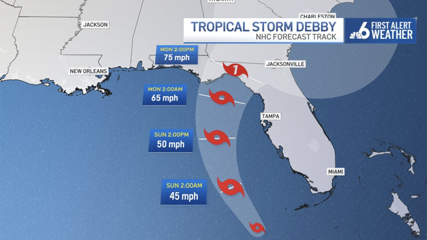 Tropical Storm Debby at 5 p.m. on Aug. 3, 2024.