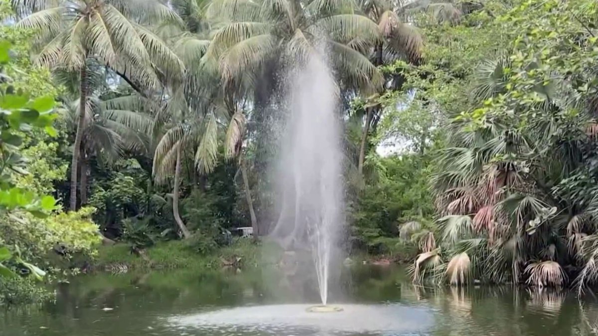 Miami Tropical Botanic Garden faces critical deadline in fight against development – ​​NBC 6 South Florida