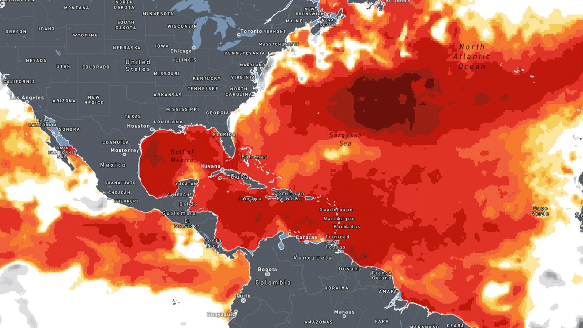 See how climate change influences sea surface temps and how that