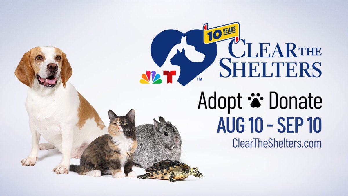 How to donate to the 2024 Clear The Shelters pet adoption campaign