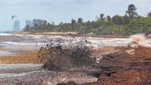 Waves from high tide pound the beach at Dr. Von D. Mizell-Eula Johnson State Park Tuesday, Sept. 4, 2018. (Mike Stocker/South Florida Sun-Sentinel/Tribune News Service via Getty Images)