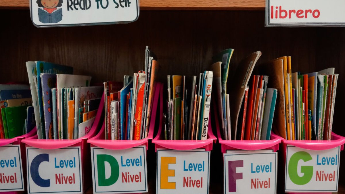 Bilingual classes at South Florida schools receive support through literacy grant – NBC 6 South Florida