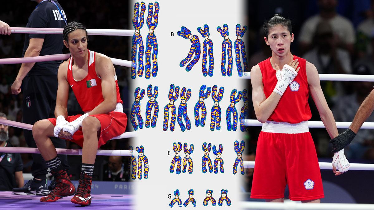 Olympic boxing controversy Does Imane Khelif have XY chromosome? NBC