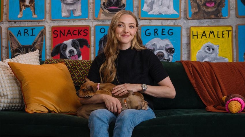 Amanda Seyfried will host this year's Clear The Shelters TV special.