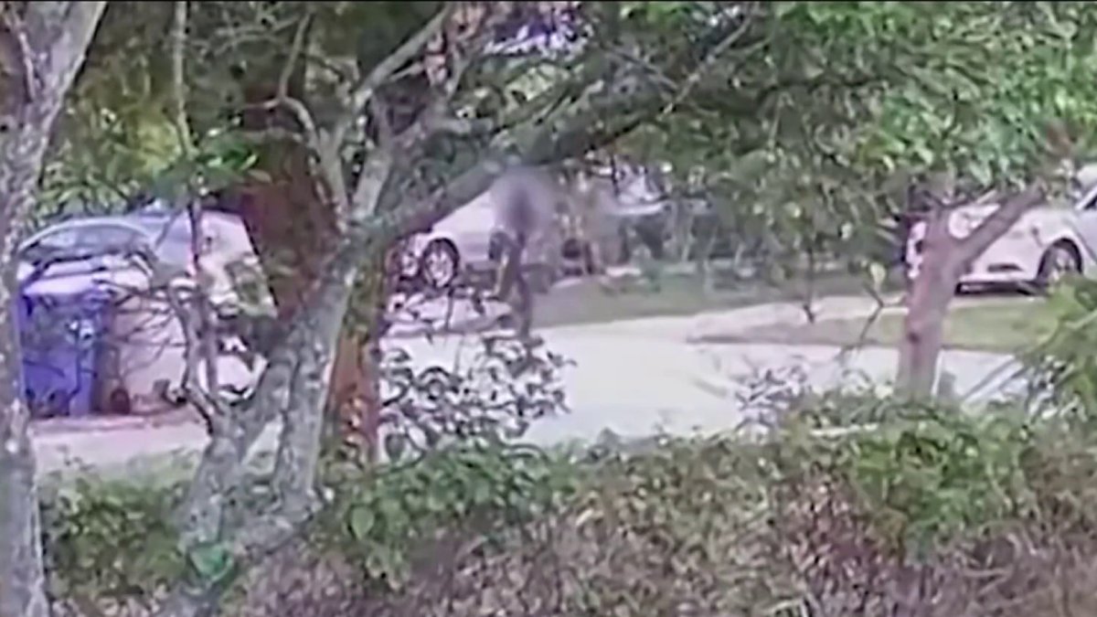 Search for man who pointed gun at teen during attempted kidnapping in ...