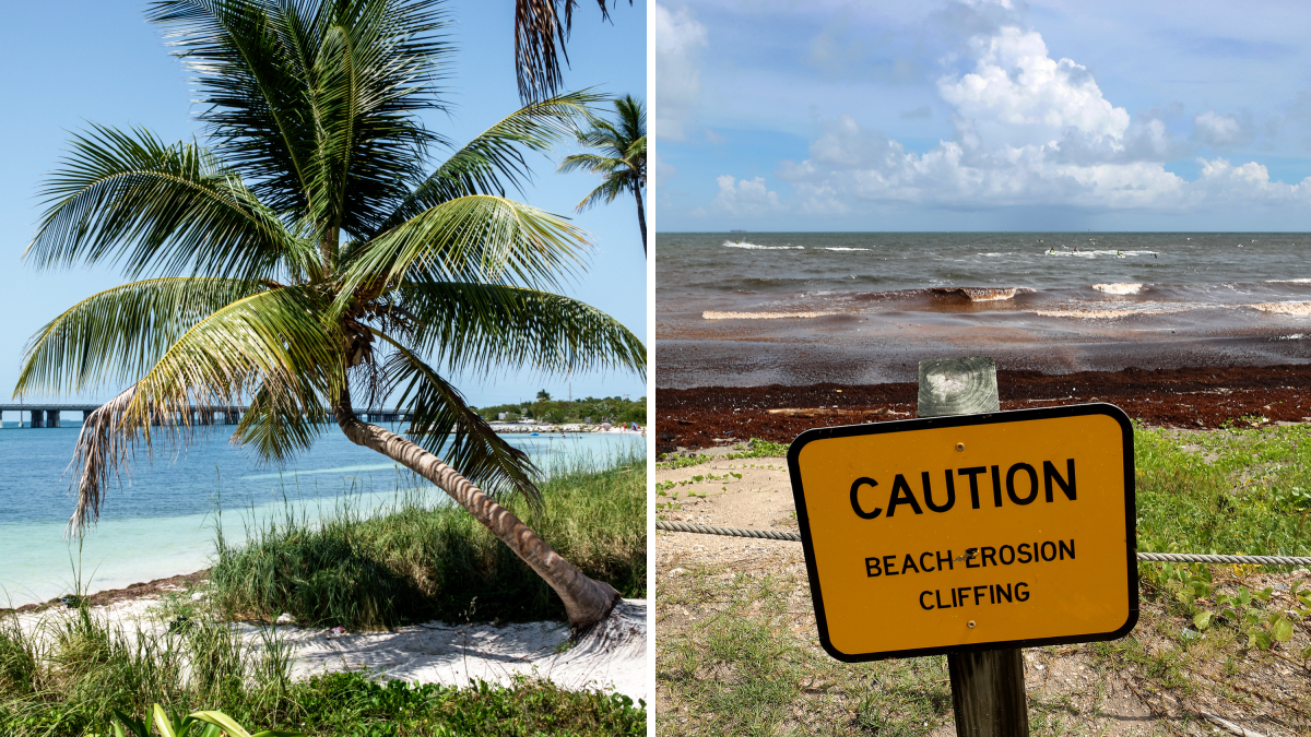 Here are South Florida’s state and national parks – NBC 6 South Florida