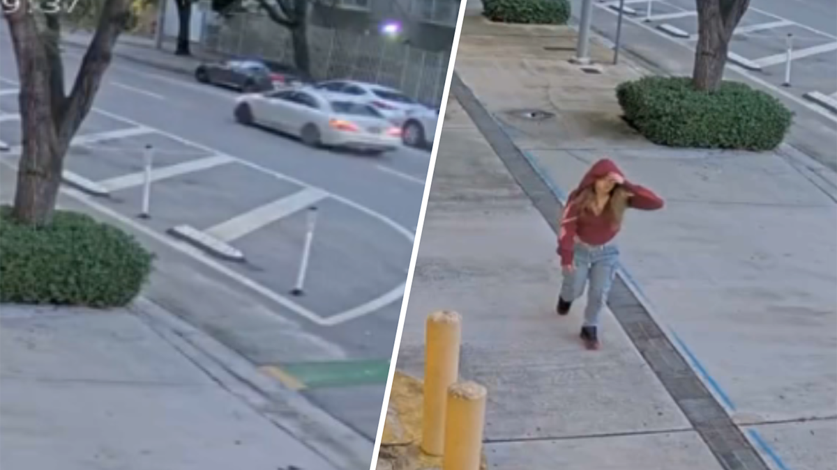 Video shows social media model walking away after fatal car crash in Miami – NBC 6 South Florida