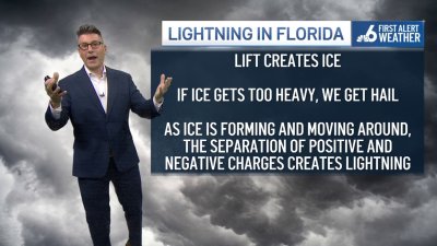 Lightning in Florida: How it forms, deaths in the state