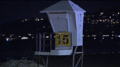 Sea lion attacks swimmer at Mission Beach, San Diego lifeguards say