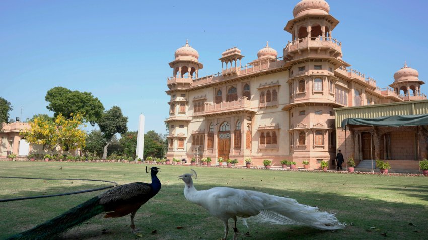 Peacocks roam on the lawn of historical building "Mohatta Palace," which was built in 1920s and has since been turned into a museum, in Karachi, Pakistan, Friday, May 24, 2024.