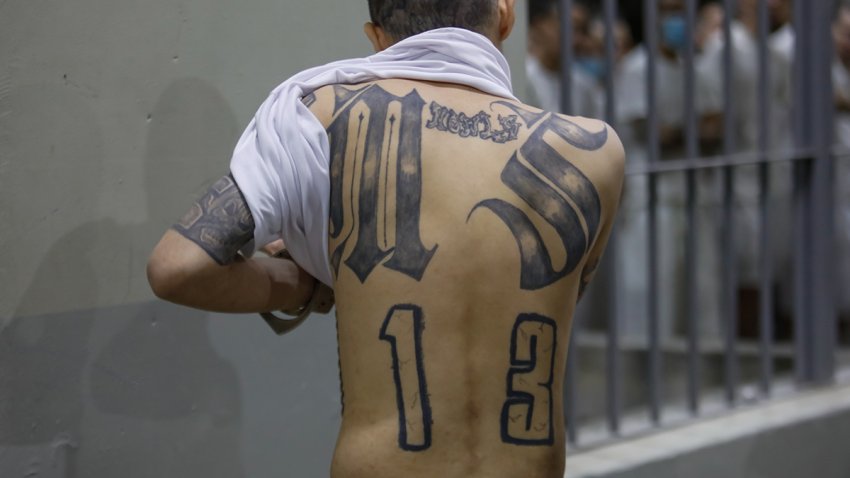 SAN VICENTE, EL SALVADOR – FEBRUARY 6: An inmate shows his back tattoos at CECOT (Spanish acronym for counter-terrorism confinement center) in Tecoluca on February 6, 2024 in San Vicente, El Salvador. On February of 2023 El Salvador inaugurated Latin America’s largest prison as part of President Nayib Bukele’s plan to fight gangs. Since then, the UN and NGOs have raised concern about the treatment of inmates, minors being held and suspects incarcerated as gang members without sufficient proof. Meanwhile, Bukele claims El Salvador’s murder rate has fallen from the world’s highest to the lowest in the Western Hemisphere. (Photo by Alex Peña/Getty Images)