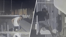 A pair of burglars were caught on video sneaking aboard a boat docked on Black Point Marina and making off with equipment, causing a loss of about ,000, authorities said.