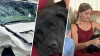 Miami woman reunited with dog missing for days after rollover crash on I-95