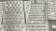 Some of the counterfeit items found in Sharon Jewelry at Lauderhill Mall