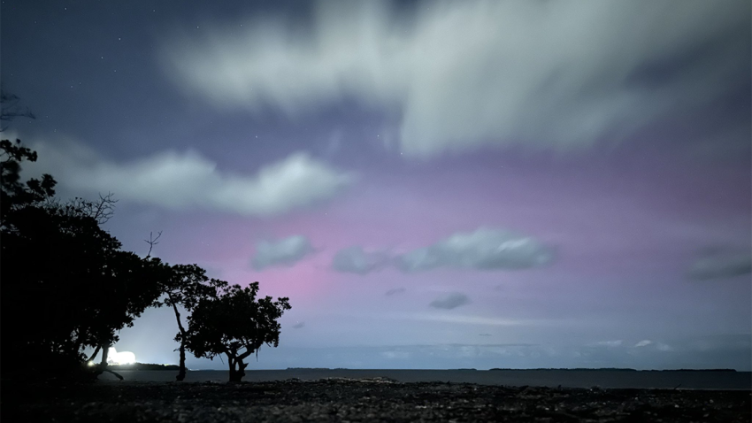 Floridians in the Keys, Tallahassee and other parts of the state were treated to the rare sight of the Northern Lights in the sky Thursday night.