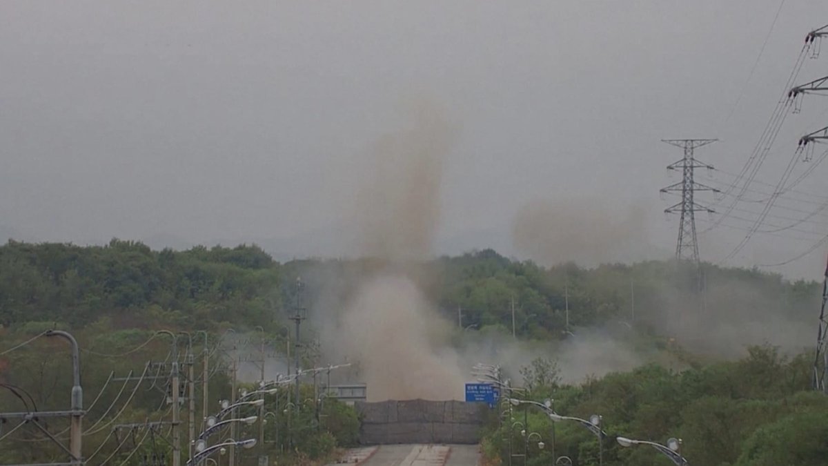 South and North Korea troops potentially entering Ukraine war unlikely