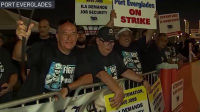 Dockworkers at PortMiami and Port Everglades go on strike