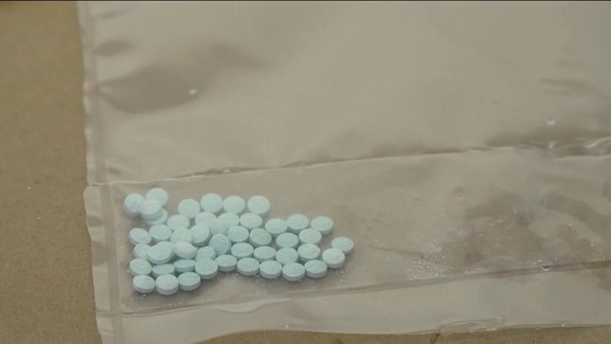 New Florida laws take effect on Oct. 1 – NBC 6 South Florida
