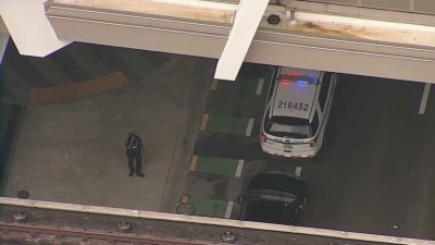 Apparent human remains found in downtown Miami: Police