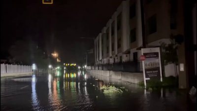 Downed fences and flooded roads seen in Tampa hours after Milton landfall