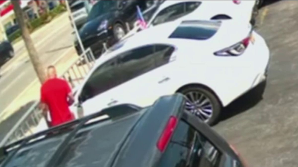 ‘Casual’ thief stole car from Miami dealership during test drive: VP ...
