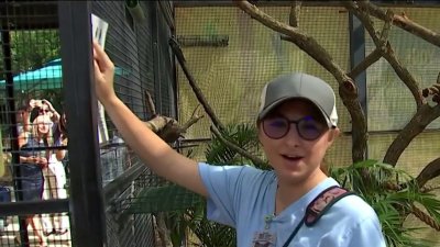 Special needs students get real world experience at Zoo Miami