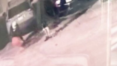 Surveillance shows person with gas can before fire in Allapattah