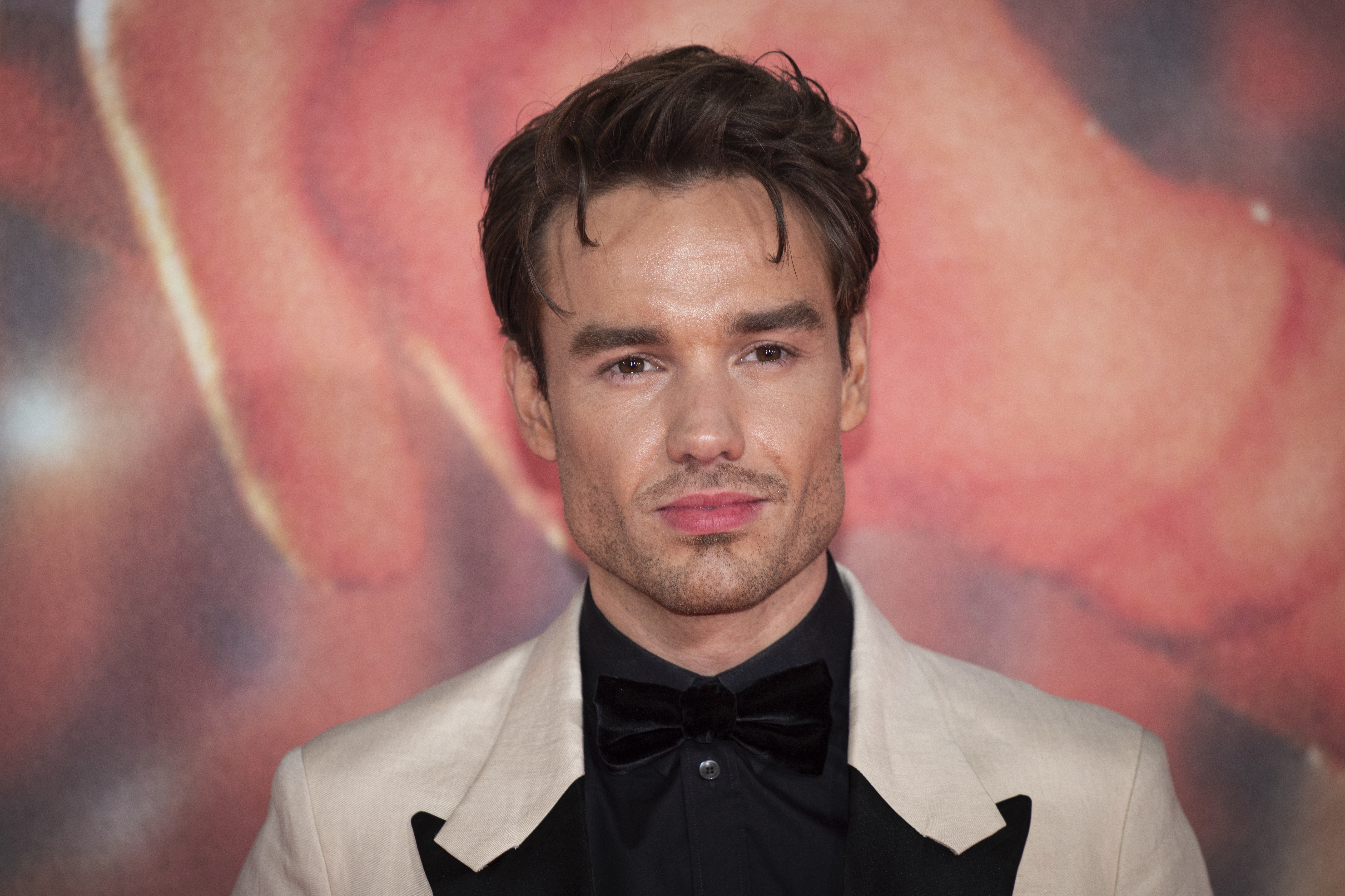 Liam Payne's sister Ruth apologizes for not being able to ‘save' him