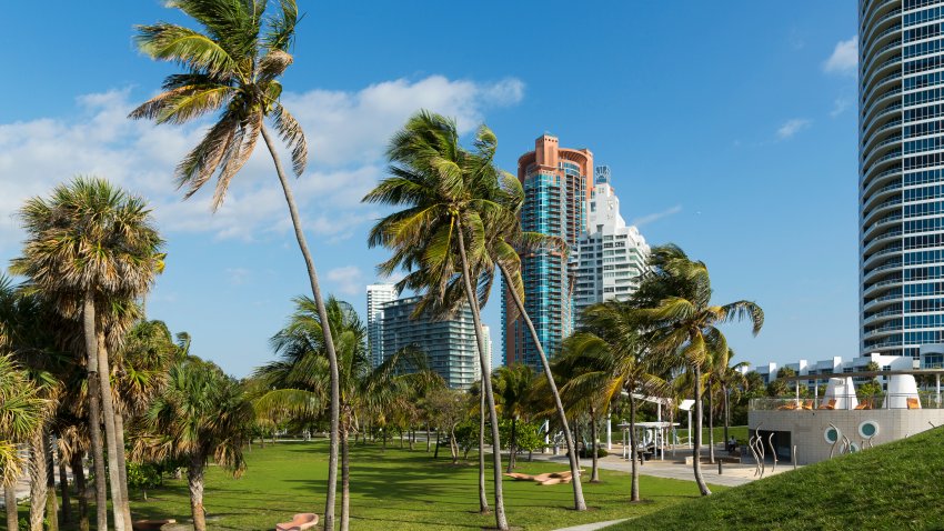 Usa. Florida. Modern condos and palm trees in Miami Beach South Point Park, in  the Art Deco district.