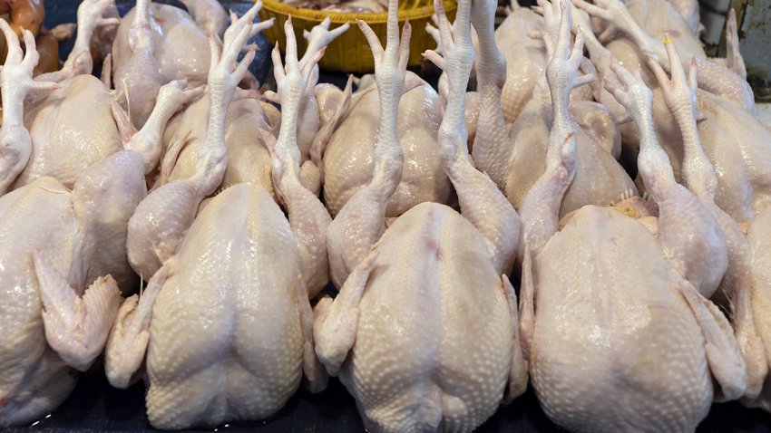 Fresh poultry for sale at a wet market in Kuala Lumpur, Malaysia, on Tuesday, Dec. 19, 2023. Malaysia is scheduled to release consumer price index (CPI) on Dec. 22. Photographer: Richard Humphries/Bloomberg via Getty Images