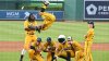 Famed Savannah Bananas baseball team to play at loanDepot Park in Miami