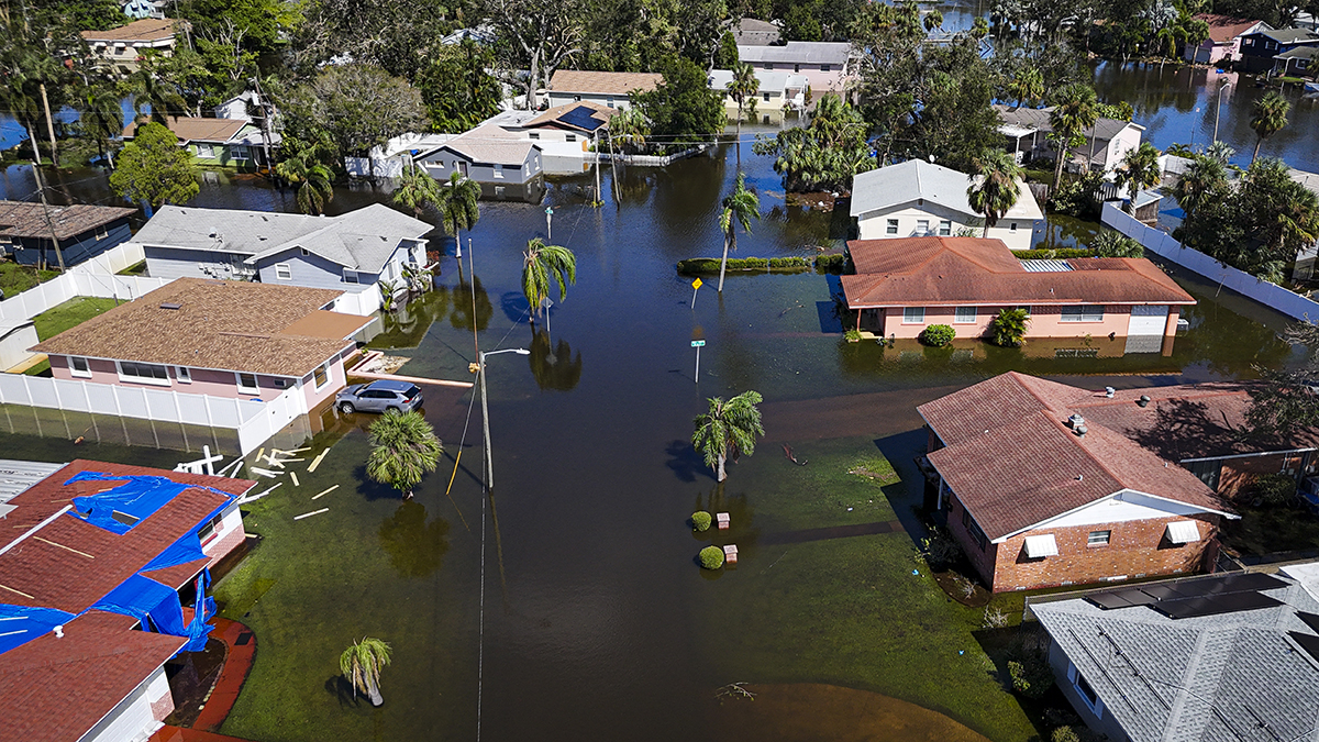 usf news hurricane milton