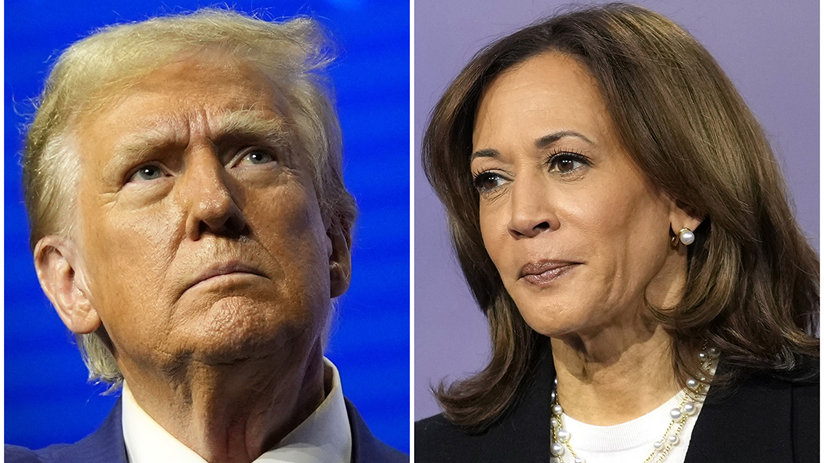Harris and Trump offer contrasts on top issues in presidential race
