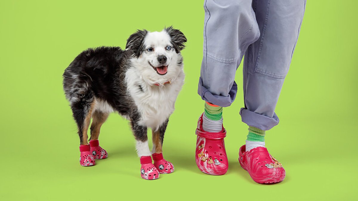 Crocs is releasing shoes for dogs — and matching clogs for owners