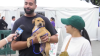 ‘It's going to change your life': 12-hour pet adoption festival gets underway at Tropical Park