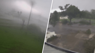 Video shows trees torn apart by tornado winds in St. Lucie County