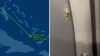 Spirit Airlines flight from Fort Lauderdale to Haiti diverted due to gunfire damage