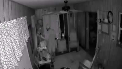 Surveillance video shows man violently attack 81-year-old in Florida home