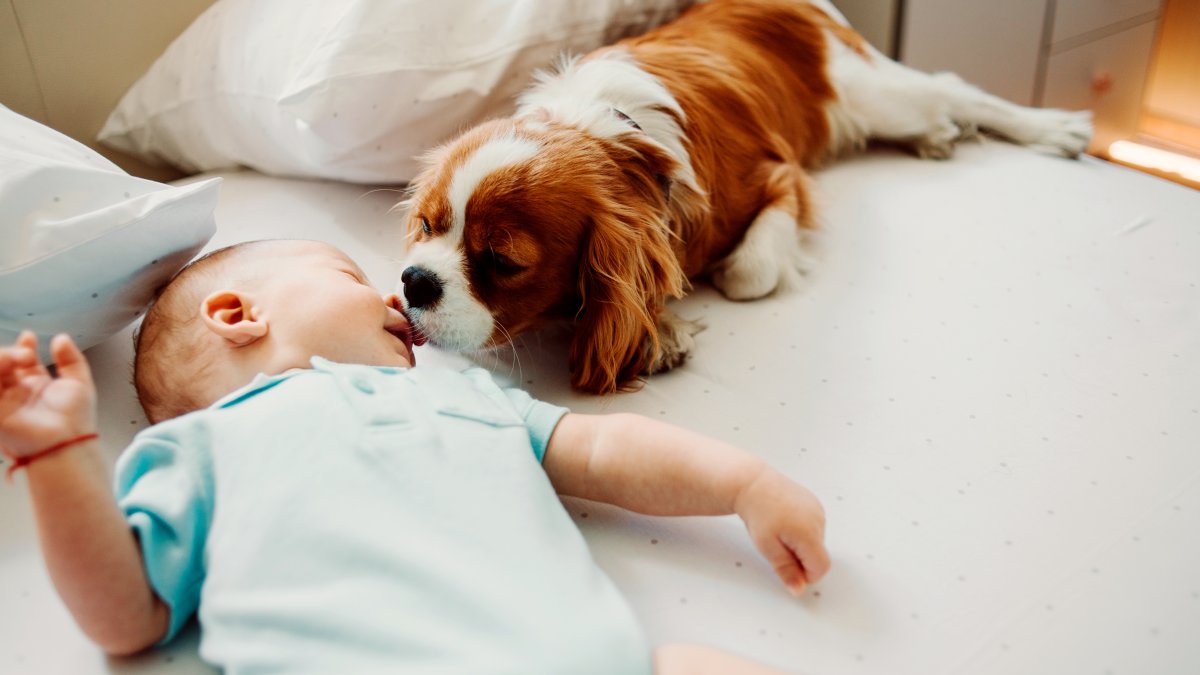 ‘Dog names' for babies is the next big baby-naming trend