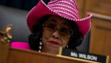 WASHINGTON, DC - JULY 23: U.S. Rep. Frederica Wilson (D-FL) speaks during a House Subcommittee on Railroads, Pipelines, and Hazardous Materials hearing on "Rail Safety In The Aftermath Of The East Palestine Ohio Derailment" on July 23, 2024 in Washington, DC. 